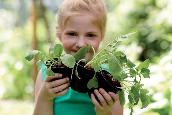 Produktbild Elho Greenbasics Anzuchttopf Set