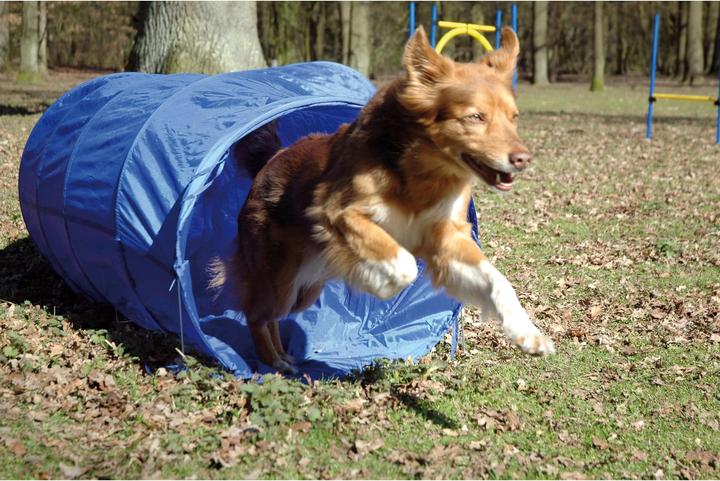 Produktbild Dobar Agility-Tunnel (Agility)