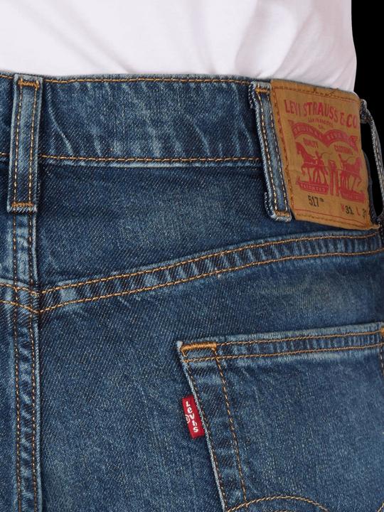 Actual product image Levis 10023447 (W31/L32)
