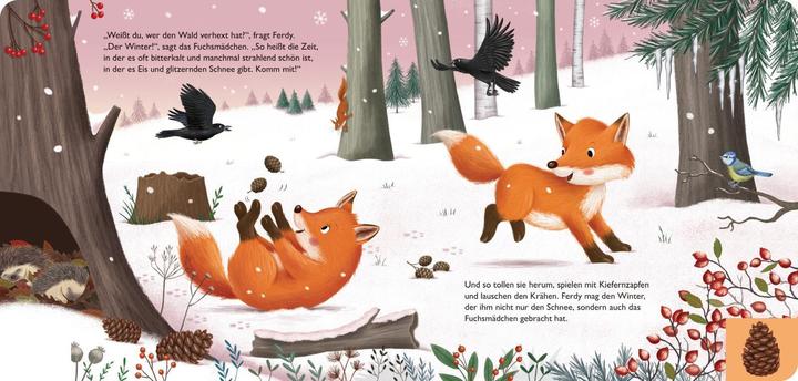 Produktbild Mein erstes Jahreszeitenbuch: Ferdy, der kleine Fuchs (Deutsch)