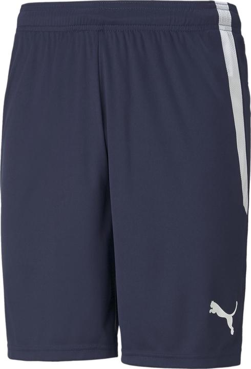 Produktbild Puma teamLIGA Shorts (XS)