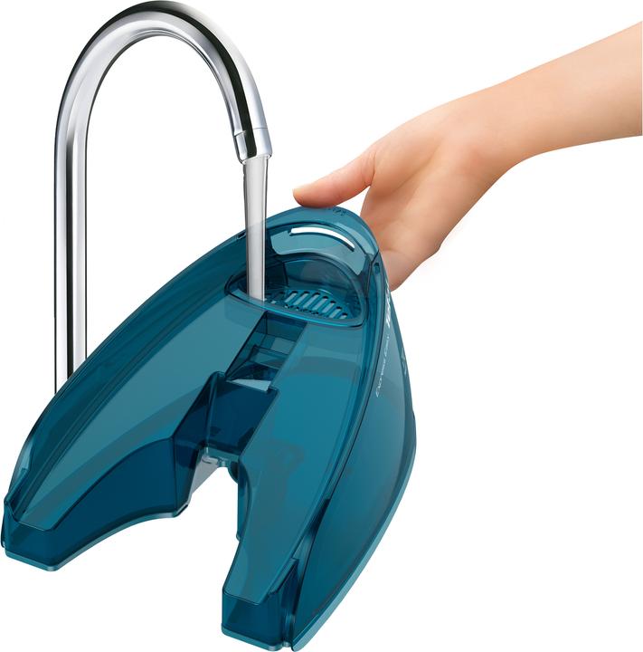 Actual product image Tefal Express Easy SV6131 (2200 W, 350 g/min)
