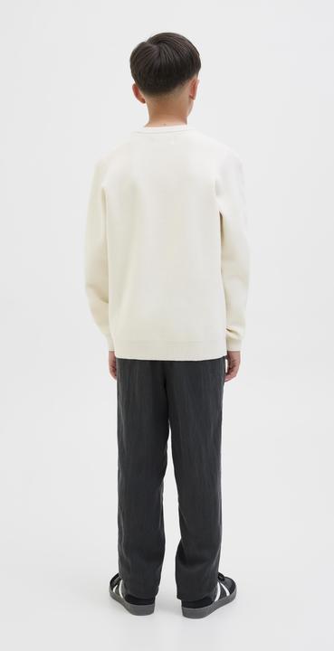 Actual product image Jack & Jones Loose Fit Hosen Junior Loose Fit Hosen (164)