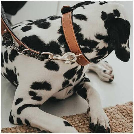 Produktbild Hunter Halsband Canadian Elk, cognac/schwarz (40, Hund)
