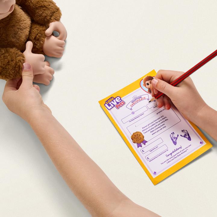 Image du produit Little Baby Monkey Live Pets (30 cm)