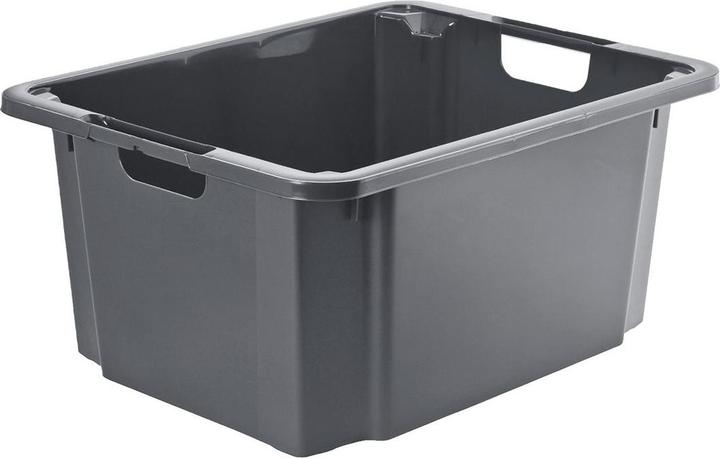 Image du produit Rotho Reverso (44 x 26 x 56 cm, 46 l)