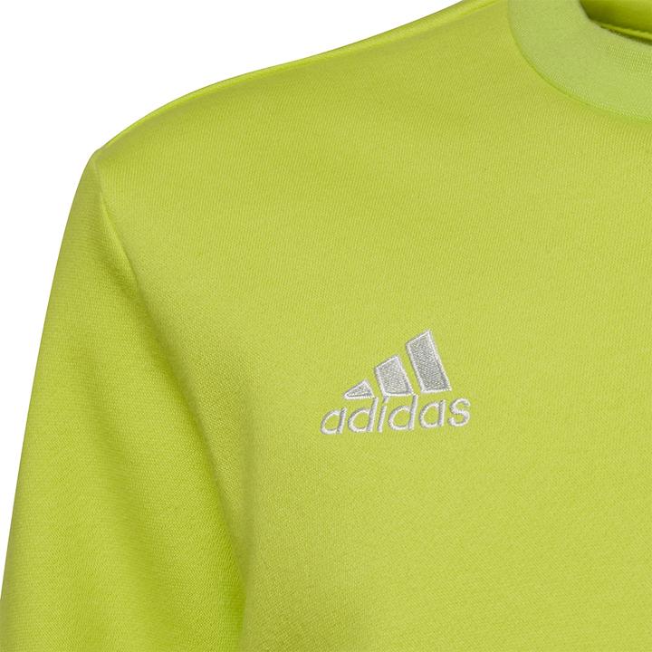 Produktbild adidas Entrada 22 Sweatshirt Kinder (164)