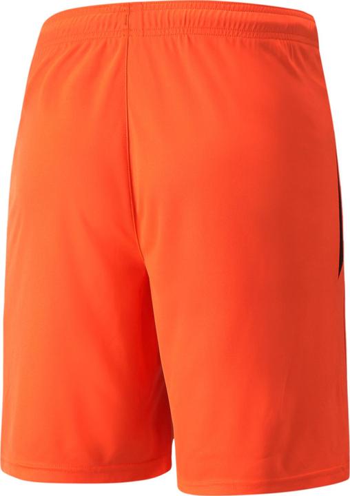 Produktbild Puma teamLIGA Shorts-704924 (S)