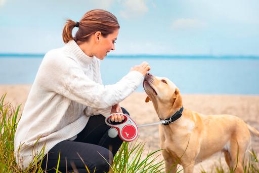 Actual product image Flexi New Comfort belt (XS, Dog, Walks)