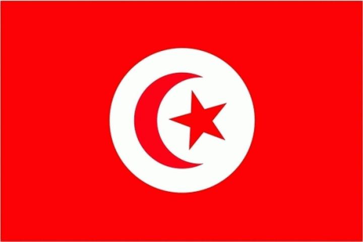 trends4cents XXL Flagge Tunesien 250 x 150 cm