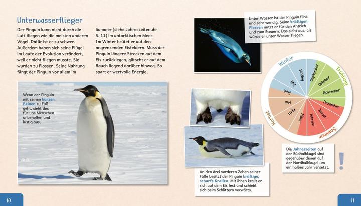 Produktbild Meine grosse Tierbibliothek: Der Pinguin (Deutsch, Dr. Jens Poschadel, 2020)