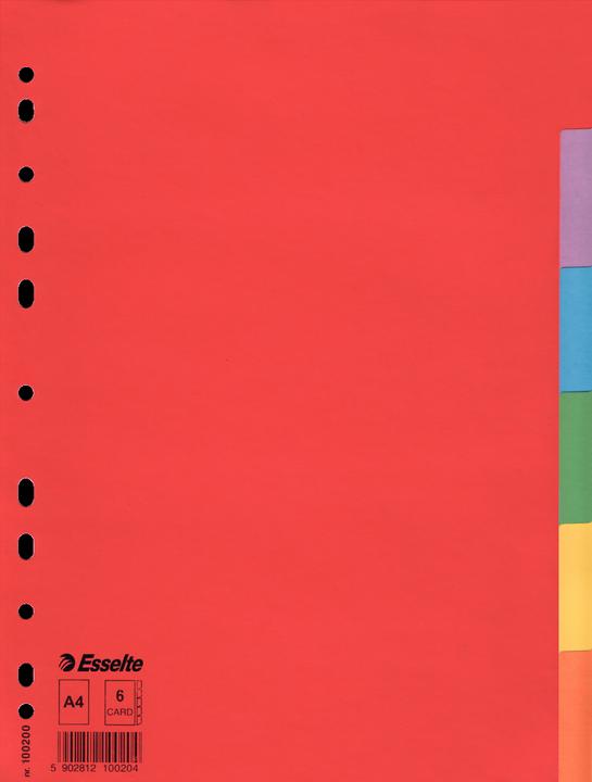 Actual product image Esselte Indice cardboard blank Economy