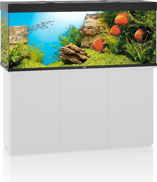 Image du produit Juwel Aquarium Rio (450 l)