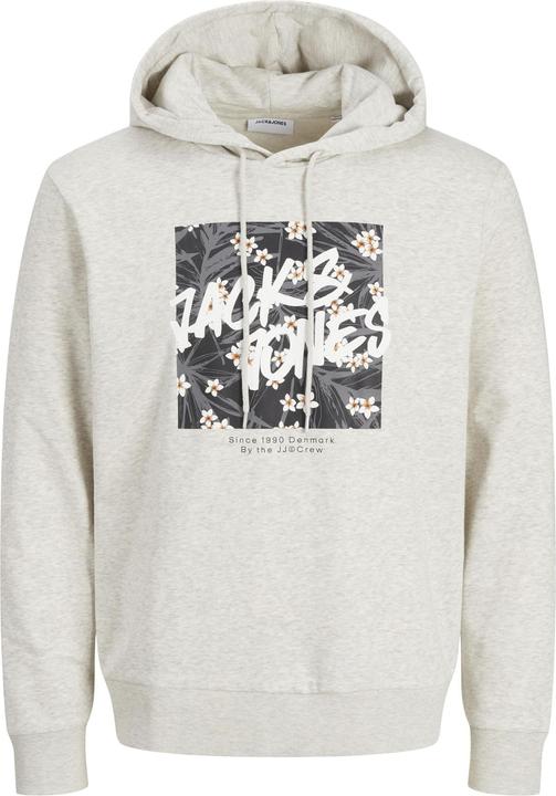 Image du produit Jack & Jones Logo Sweat à capuche Sweat à capuche (XXL)