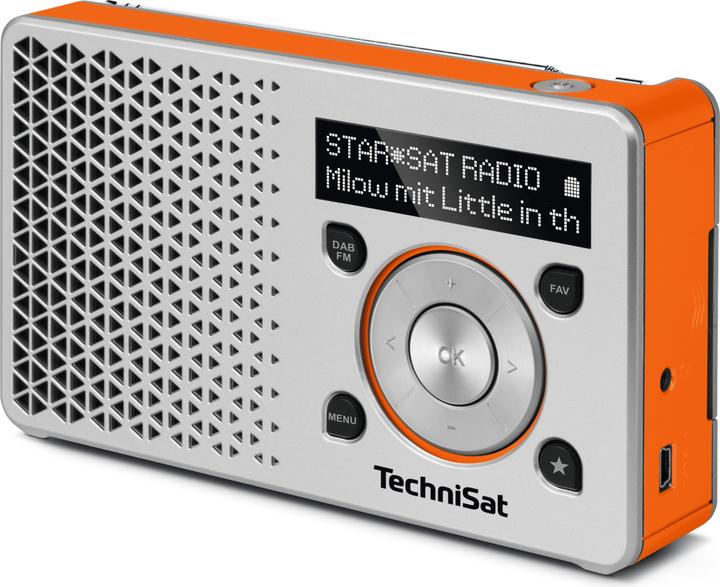 Actual product image TechniSat DigitRadio 1 (DAB+, FM)