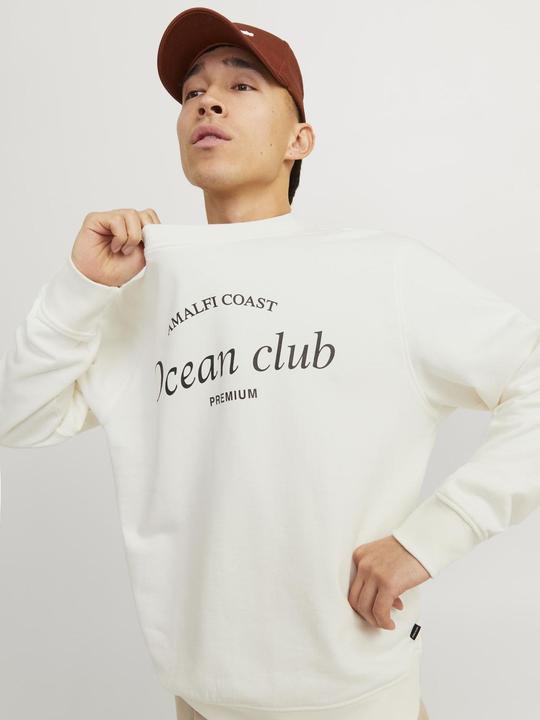 Actual product image Jack & Jones Gedruckt Sweatshirt mit Rundhals Sweatshirt mit Rundhals (S)