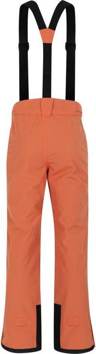 Produktbild Dare2b Achieve II Pant (S)