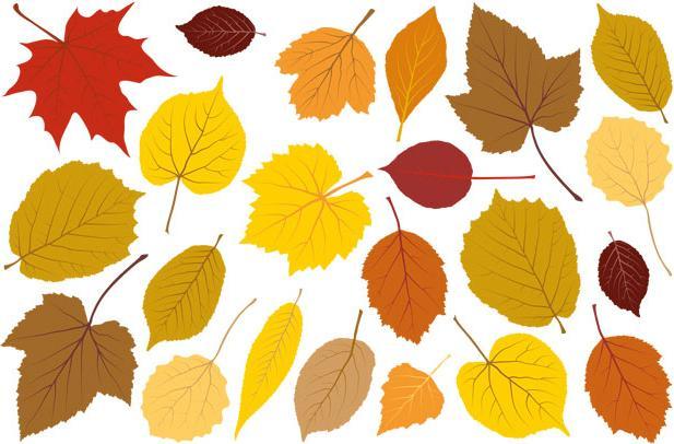 Image du produit Trenddeko Set de feuilles automne 01 (60 x 39 cm)
