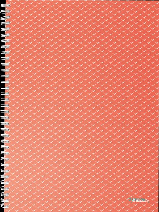 Productafbeelding Esselte College notitieblok Colour'Breeze (230 x 305 mm, Gecontroleerd)