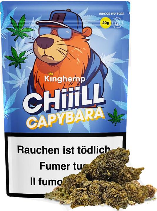 Immagine prodotto Kinghemp Chiiill Capybara (20 g, Interno)