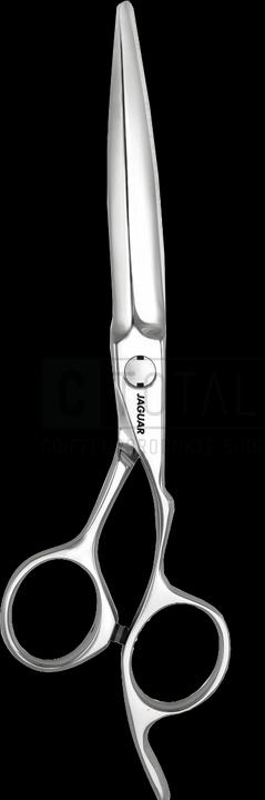 Immagine prodotto Jaguar Airone (13.97 cm)