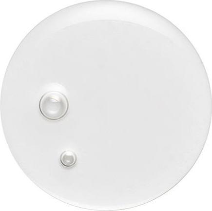 Image du produit Virtue Labs Huile de guérison (50 ml)
