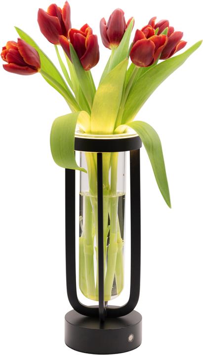 Image du produit Securit Florence (50 lm)