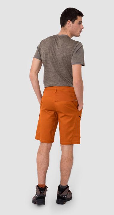 Actual product image Salewa Puez Hemp Cargo Shorts (L)
