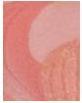 Image du produit Sisley Palette Orchidée (Corail)