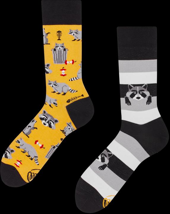 Actual product image Many Mornings Raccoon Bandit (Single pack, 43 - 46)