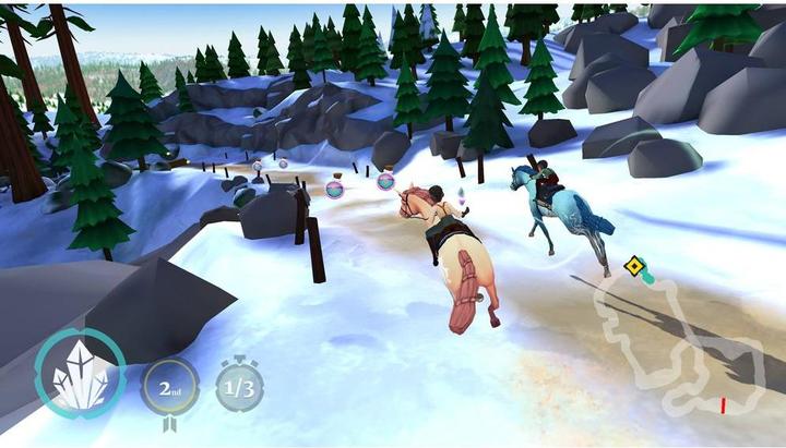 Image du produit Nacon Gaming Wildshade : Champions de la Licorne (PS4, DE)