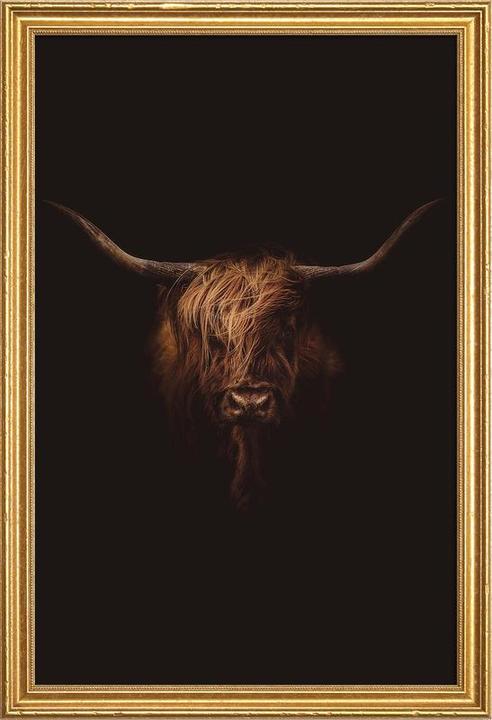Immagine prodotto Juniqe Yak dell'Himalaya (60 x 90 cm)