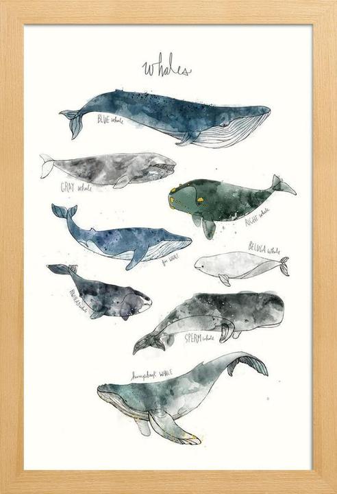 Produktbild Juniqe Whales (60 x 90 cm)