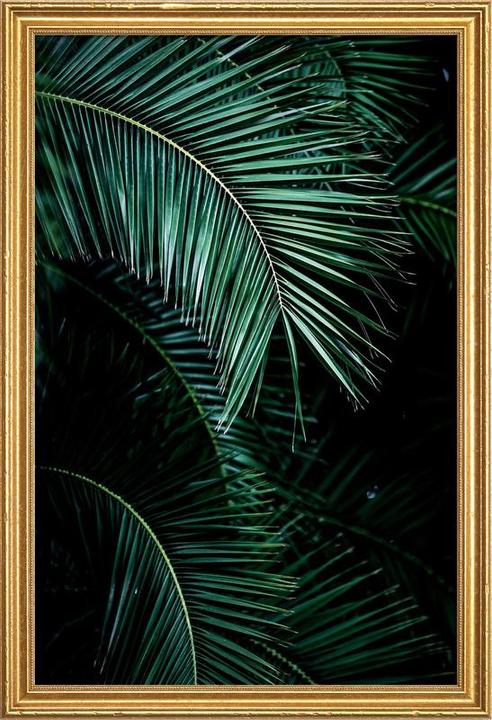 Juniqe Palm Leaves 9 (60 x 90 cm)