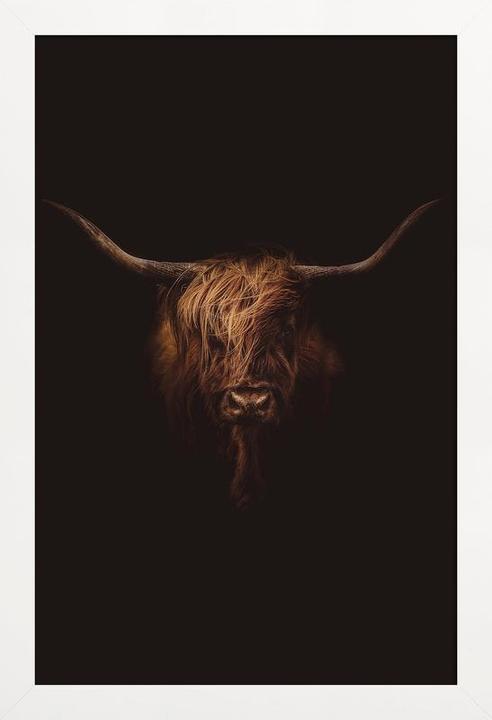 Image du produit Juniqe Himalayan Yak (60 x 90 cm)