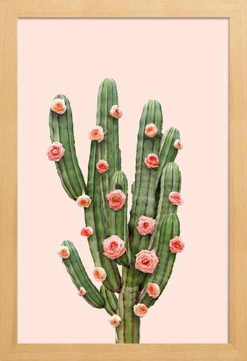 Juniqe Cactus Roses (60 x 90 cm)