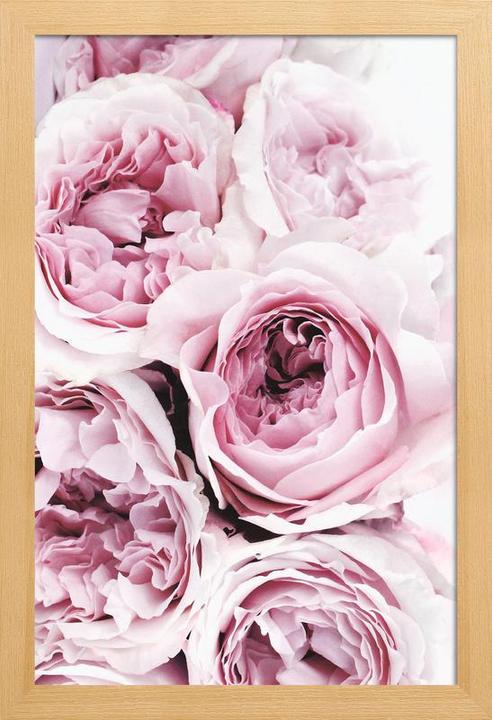 Image du produit Juniqe Print 195 (60 x 90 cm)