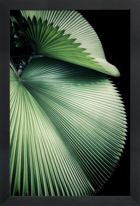 Image du produit Juniqe Sharp Palm (60 x 90 cm)