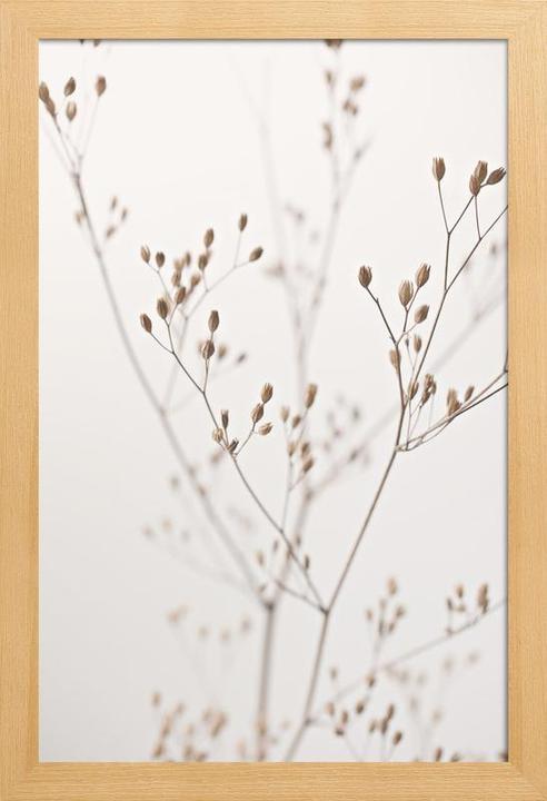 Produktbild Juniqe Wild Flower Natural Beige 1 (60 x 90 cm)