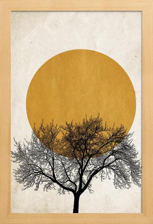 Image du produit Juniqe Wintermorgen (60 x 90 cm)