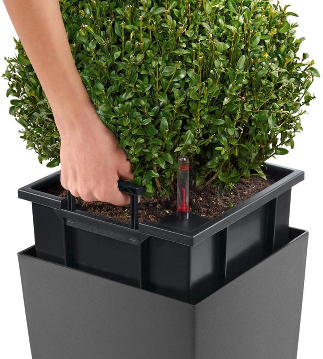 Produktbild Lechuza Cubico (29.50 cm)