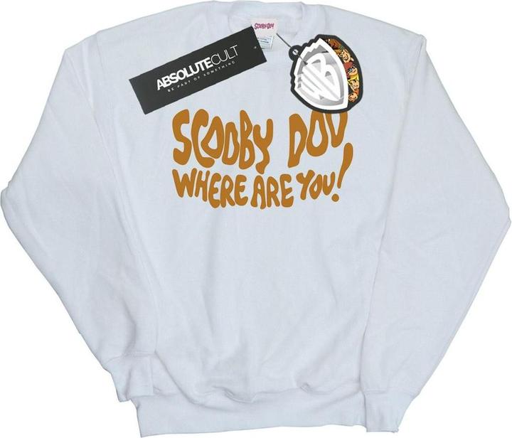 Actual product image Scooby Doo Mens Where Are You Spooky Sweatshirt (XXL)