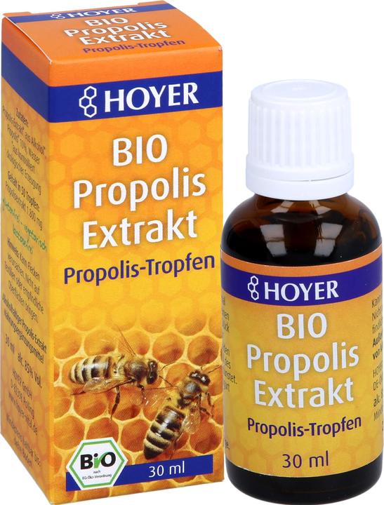 Produktbild Hoyer Propolis Extrakt (1 Stück, Flüssigkeit, 80 g)