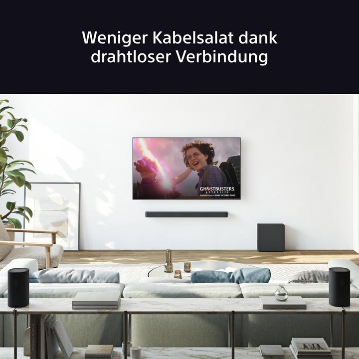 Actual product image Sony Bravia Theatre Rear 8 (1 pair, 100 W)