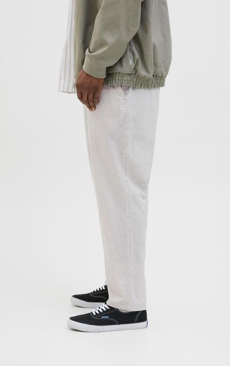Actual product image Jack & Jones Plus Size Relaxed Fit Relaxed Fit Hosen Relaxed Fit Hosen (48)