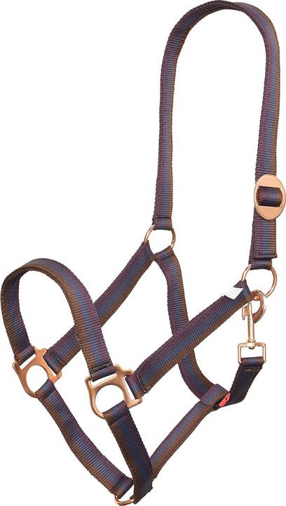Immagine prodotto Imperial Riding IRHEconomic Cavezza per Cavallo