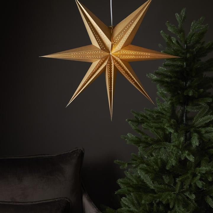 Produktbild Star Trading Papierstern Point