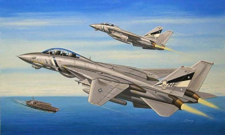 Produktbild Hobby Boss F-14D Super Tomcat