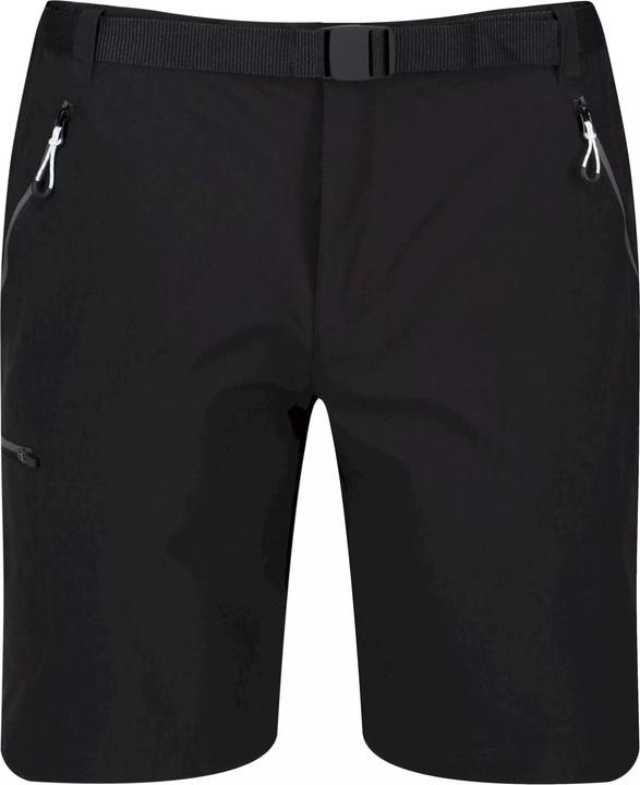 Actual product image Regatta Mens Xert III Stretch Casual Shorts (36)