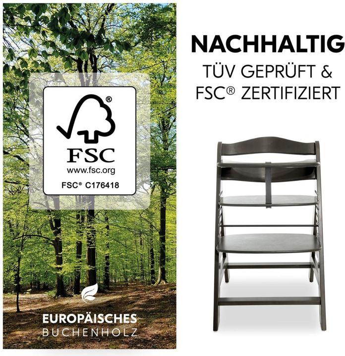 Produktbild Hauck Hochstühle Hochstuhl Alpha Plus Select Charcoal - im Sparset (Hochstuhl)